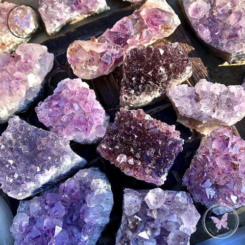 Amethyst Druze Clusters (Small)